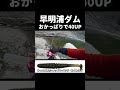 早明浦ダムのおかっぱりで40UP