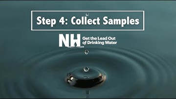 Step 4: Collect Samples