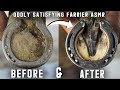 Full hoof restorationrim padfarrier asmr oddly satisfying