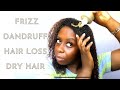 FIGHT FRIZZ, STOP HAIR LOSS, MOISTURIZE DRY HAIR | EASY Hair Mask