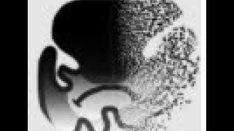 Find The Dengos  -  How to get Fading Dengo