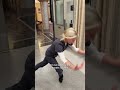 Dancing queen.