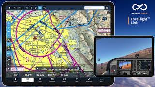 Celebrity Infinite Flight ForeFlight Link Wealth