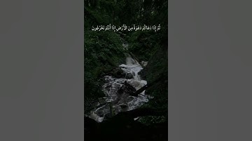 قارئ الكردی مقطع من سورة الروم