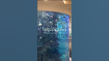 محمد الغزالي تلاوة القرآن الكريم |قرآن کی تلاوت |quran ki tilawat #quran #qurankareem ##قران_كريم