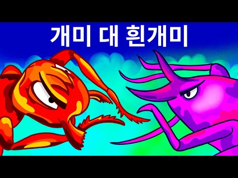 개미가 흰개미와 만나면 운명의 결전이 벌어집니다