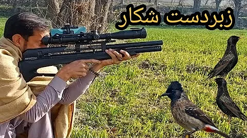 مکس شکار pcp p35 air gun
