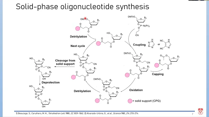 Towards Developing Greener Methods for Oligonucleotide Synthesis - DayDayNews