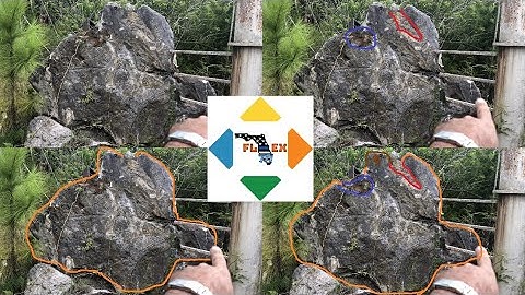 1 Ton Giants MudFossil Head