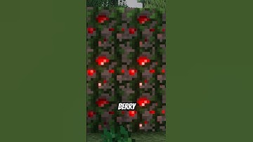 3 More Minecraft Build TRICKS You Should Know 😲