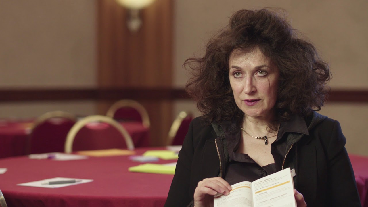 SSOFT - How SSOs used the building blocks of a healthcare system