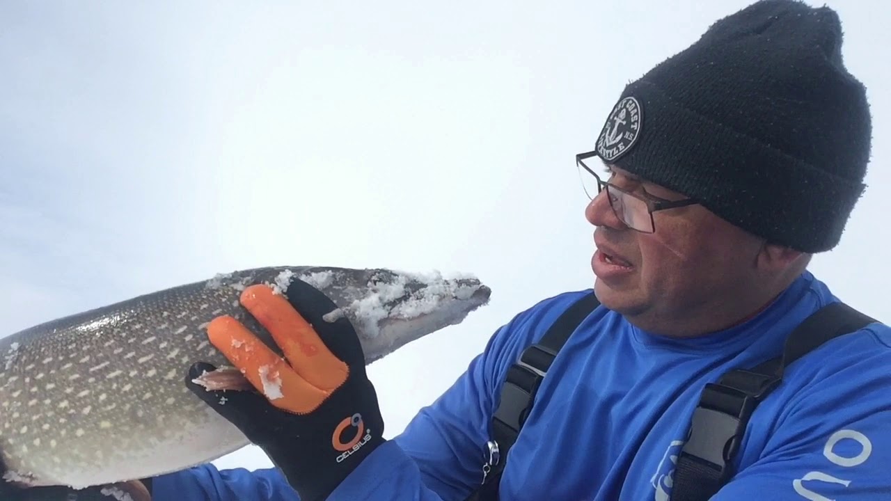 The Aboriginal Fish Hunter Movie Trailer Steve Gloade