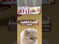 初めての3枚喰い！　#コンビニ #セブンイレブン #新商品 #板チョコアイス