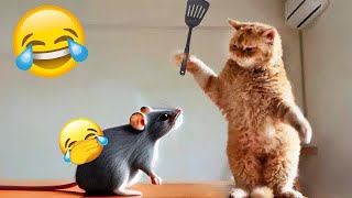 Guilty Dog and cat is so funny🤣🦮Try Not to Laugh😁2024 #7