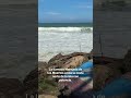 Peligro mortal en playas del norte de Puerto Rico