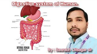 Digestive system of human. #biology #digestiv #bseb #STET#bpscteacher #zoology#education#neet#body 