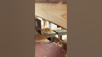 Sawmill Power: Vertical Bandsaw Cuts Through a Timber Log