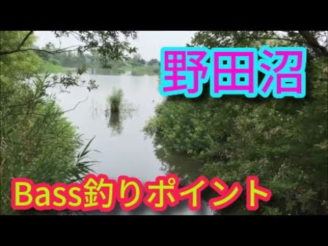 琵琶湖 野田沼 東浅井郡 湖北ブラックバス釣りポイント 滋賀県バス釣りスポットmp4 Youtube