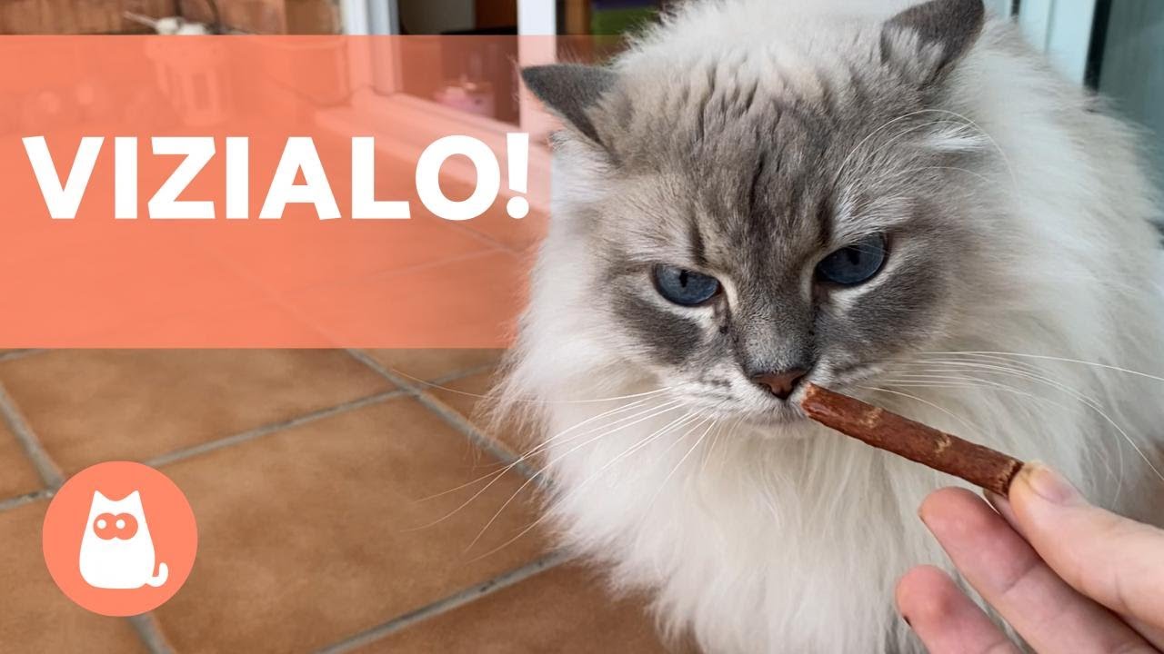 Dreamies Snack Per Gatti Gusto Formaggio - Confezione Da 2 MegaTub Da 350g, Con Vitamine