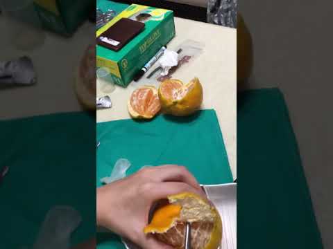 橘子切片