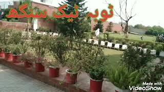 Barrett hondgson international college Toba take singh