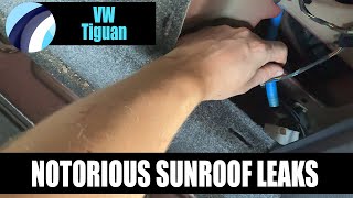 VW Tiguan Sunroof Leak by New Again Auto Reconditioning Centre 2,739 views 4 months ago 7 minutes, 37 seconds