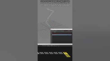 Python script I coded for rigging in Maya : usage of 3rd arg of ss.createsJointChainFromSelSS_ver02