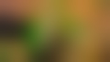 sentinel lymph node mapping with laparoscopic surgical staging in early stage endometrial cancer