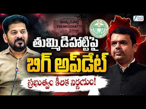 Big Update On Thummidihatti Project | తుమ్మిడిహట్టిపై బిగ్ అప్ డేట్ | ZEE Telugu News - ZEE24TELUGUNEWS