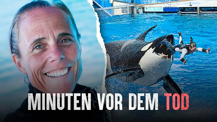 Tragödie im Sea World: Dawn Brancheaus erschreckender letzter Auftritt