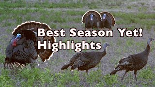 10 Exciting Turkey Hunts | Kill shots by Weekend Woodsmen 776 views 2 years ago 7 minutes, 51 seconds