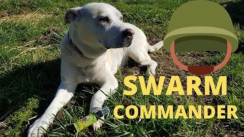 Baiting swarm traps with Swarm Commander! This stuff gets the bees interested!