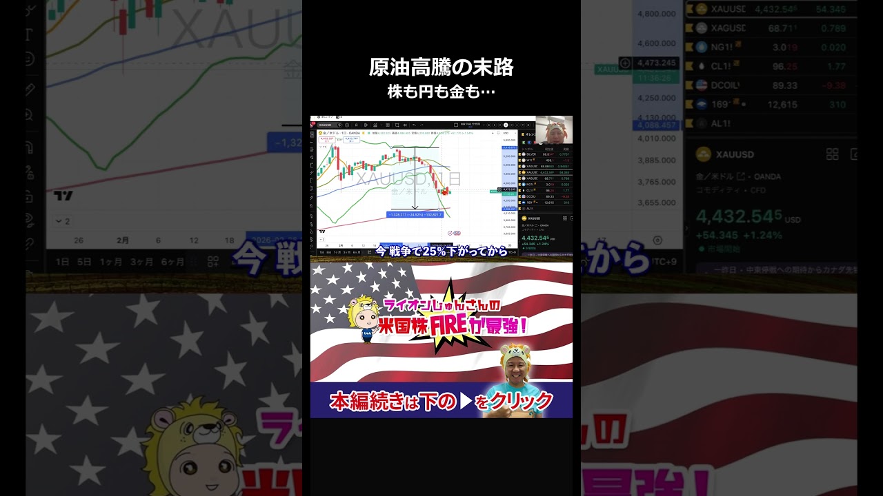 #投資 #銀と金 #ライオンじゅんさん #お金 #相場操縦 #強積金投資 #ロシア経済