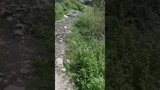 Galigadh kishtwar jk kishtwar jammu kashmir ladakh tourism mahadev 370
