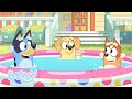NIEUW Volledige Bluey Minisodes Deel 1 Bluey Officieel Nederlands Kanaal 