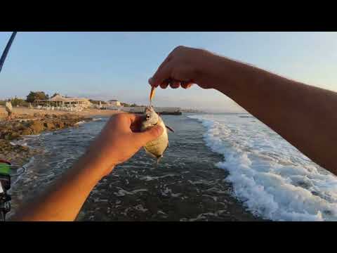 דייג 2025 שנה טובה ומתוקה אני ומיכאל בסרטון מגוון במיוחד טרכון סרגוס בורי לוקוס ועוד מלכודת + זירזור