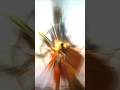 ramnavami ki hardik shubhkamnaen#jai shree ram #shree ram status #shortvideo