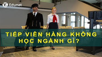 Tiếp Viên Hàng Không Học Ngành Gì? Khối Nào? Học Ở Đâu? Cần Điều Kiện Gì?