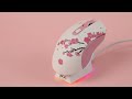 DAREU EM901X Sakura Wireless Mouse