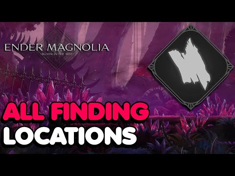 Unraveling The Mystery Of The AimingHigher Leak