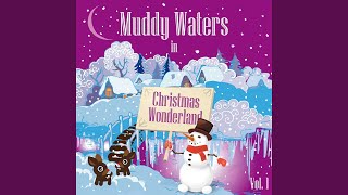 Rollin' Stone - Muddy Waters