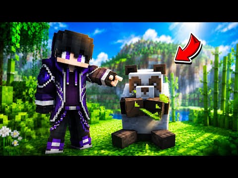 Teaching my Panda Parkour !!!
