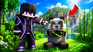 Teaching my Panda Parkour !!!
