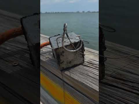 MAGNET FISHING AND FINDING BIG TREASURE #magnetfishing #shortsfeed #fishing