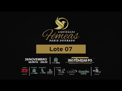 LOTE 07