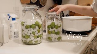 방방지(닭 가슴살 샐러드)와 비빔 냉면 만들어 먹고 초여름 공원 산책, 매실청만들기, 월요일 아침