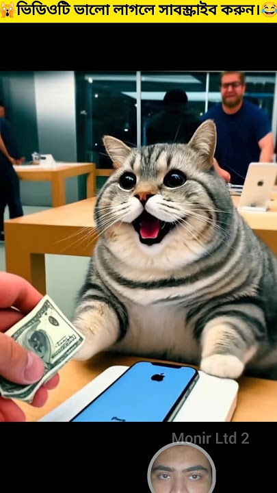 Cat missing her Iphone #shorts #cat #cute #catlover #kitten #cuteanimal #funny #cutecatcats #cutecat