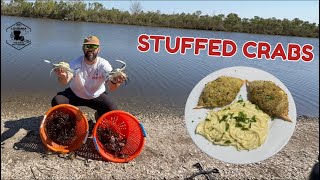 GIANT Blue Crabs from the side of the ROAD | CATCH & COOK
