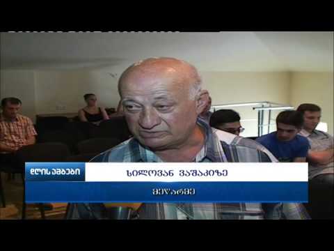 შეხვედრა დემოკრატიული ჩართულობის ცენტრში