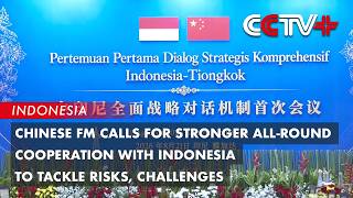 Chinese FM Calls for Stronger All-Round Cooperation with Indonesia to Tackle Risks, Challenges